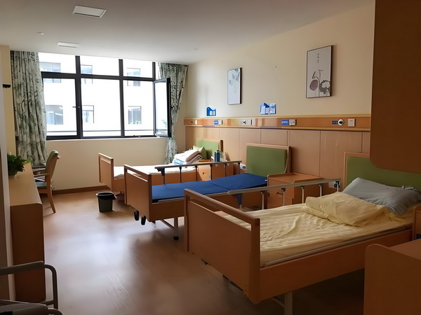 2025本科生入户深圳_专访｜马伊琍：和创作者、观众“共建”那些鲜活的女性形象 观众共建那同道大叔